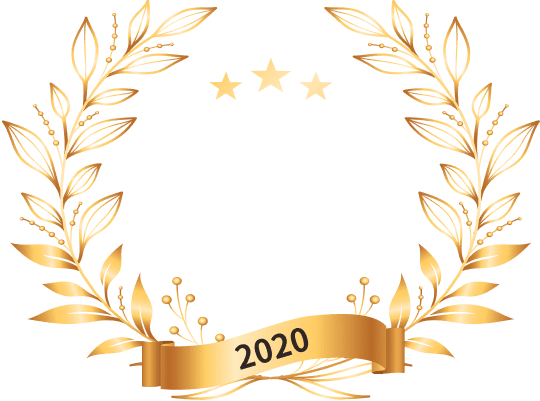2020 Global Chinese ESG Reporting Awards: 融合メディア部門・社会価値賞